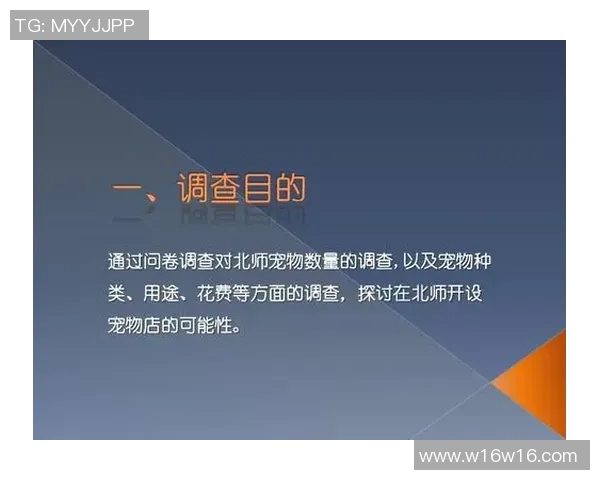 足球明星年薪与广告收入的关系探讨及其对职业生涯的影响分析 足球明星年薪与广告收入的关系探讨及其对职业生涯的影响分析