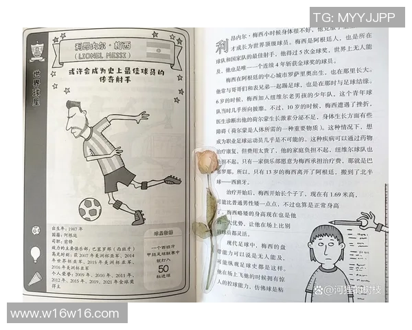 足球明星维奇的传奇故事与成就揭秘你了解多少